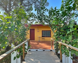 Caseta de Dalt